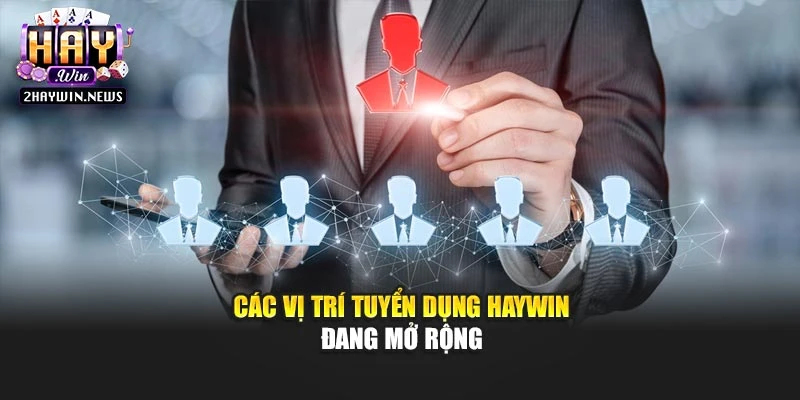 Các vị trí tuyển dụng Haywin đang mở rộng