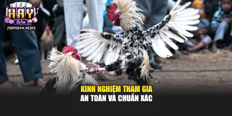Kinh nghiệm tham gia an toàn và chuẩn xác