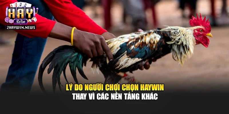 Lý do người chơi chọn Haywin thay vì các nền tảng khác